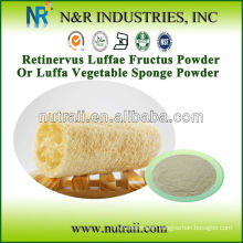Natural Luffa Powder from Luffa Sponge